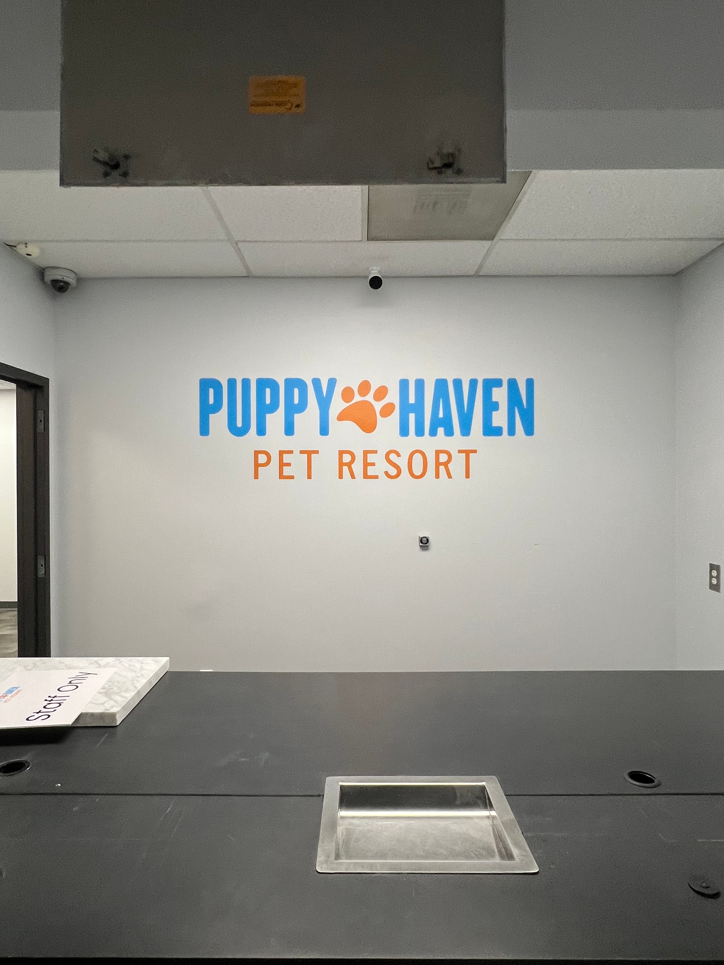 Puppy Haven Pet Resort large format wall lettering in blue and orange installed in pet resort facility